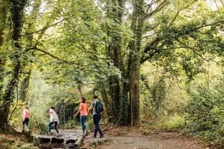 St Catherine's Woods